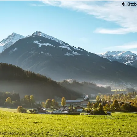 Apartment Loew 1 In The Heart Of By 360 Estates